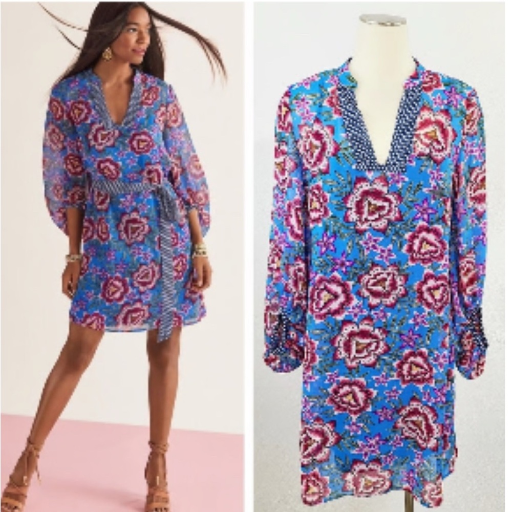 Cabi primrose dress blooming size XS